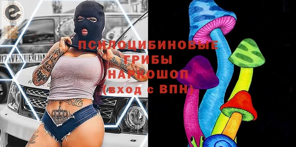 спайс Богданович